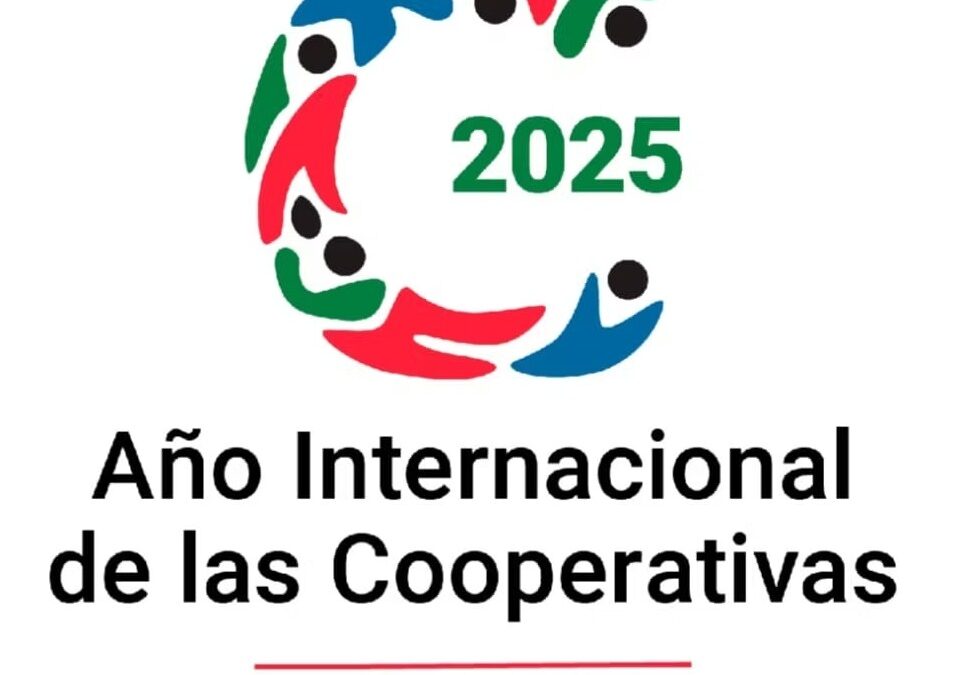 Año internacional de las cooperativas