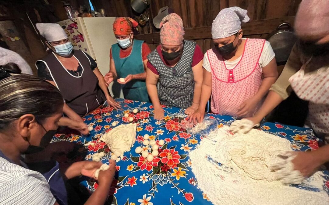 Cooperativas que construyen paz: mujeres, territorio y esperanza