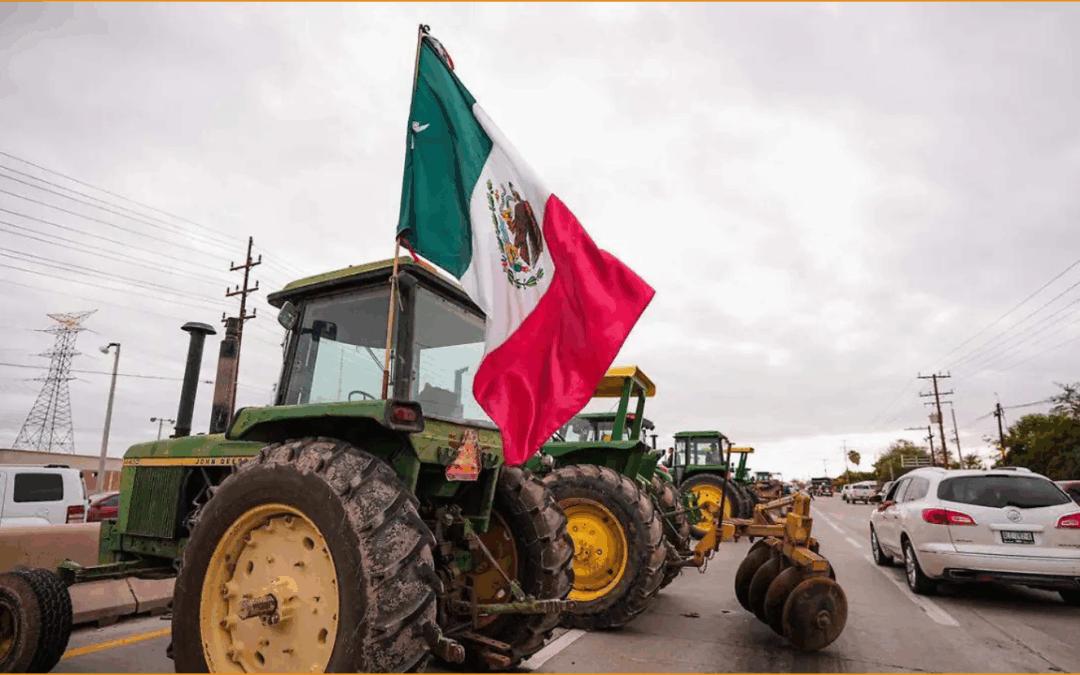 El enemigo no es el gobierno, sino el sistema