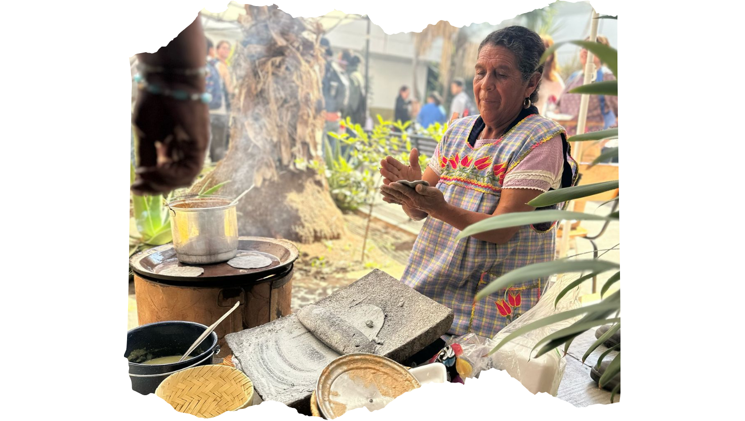 Mujeres, cooperativismo y economía para la vida: Una reflexión estructural desde el caso Michoacán en el marco del 8 de marzo